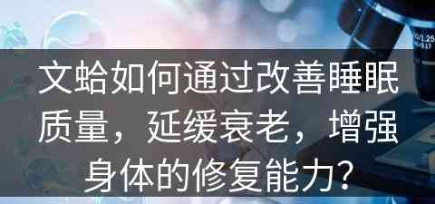 文蛤如何通过改善睡眠质量，延缓衰老，增强身体的修复能力？